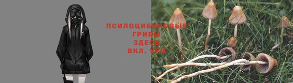 соль ск Абинск