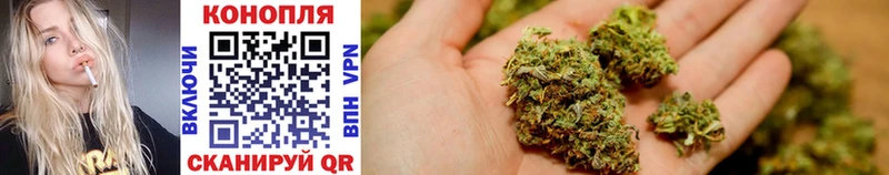 Конопля Bruce Banner  где купить   Альметьевск 